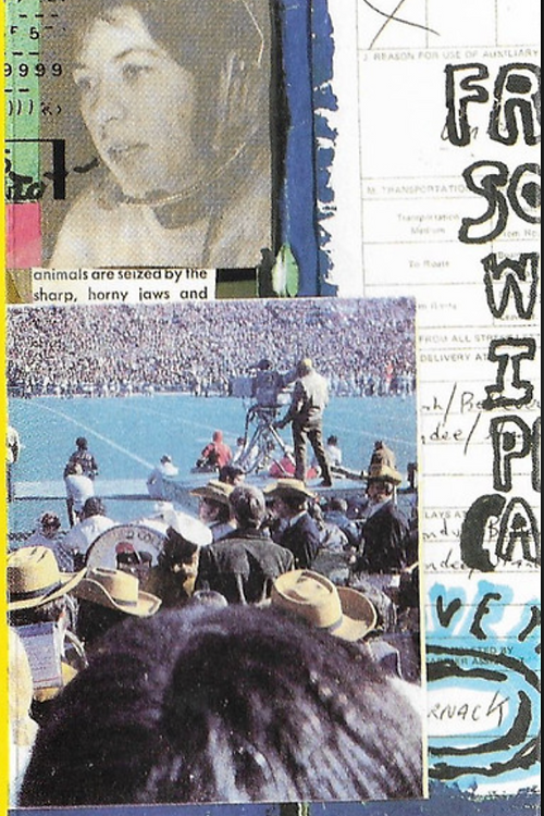 Swirlies - Blonder Tongue Audio Baton