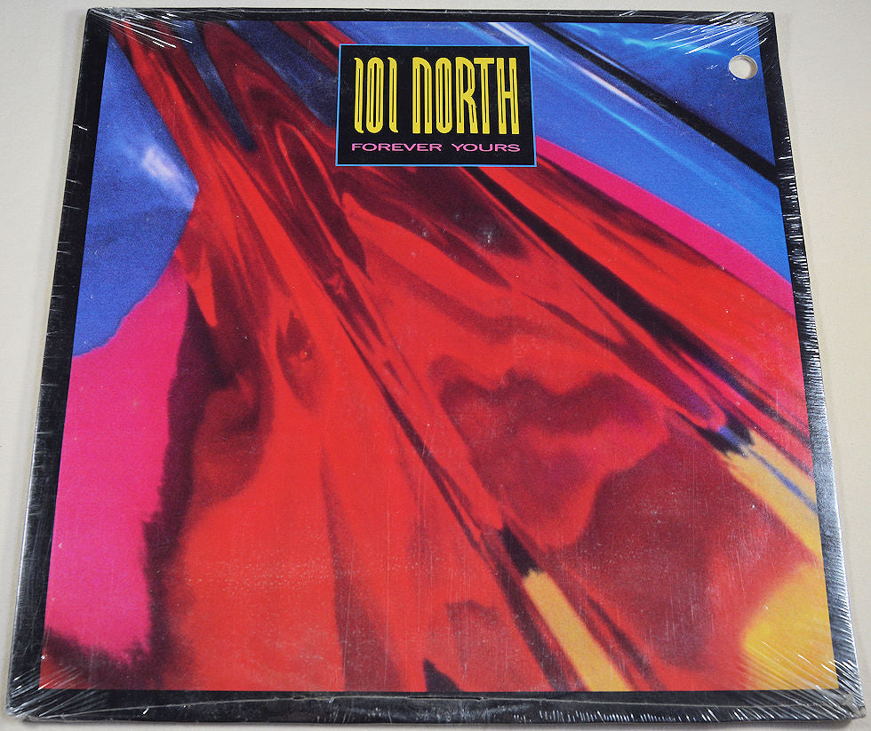 Front cover of 101 North – Forever Yours vinyl LP with vibrant abstract artwork