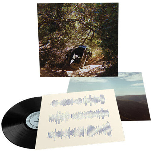 Segall, Ty - Possession