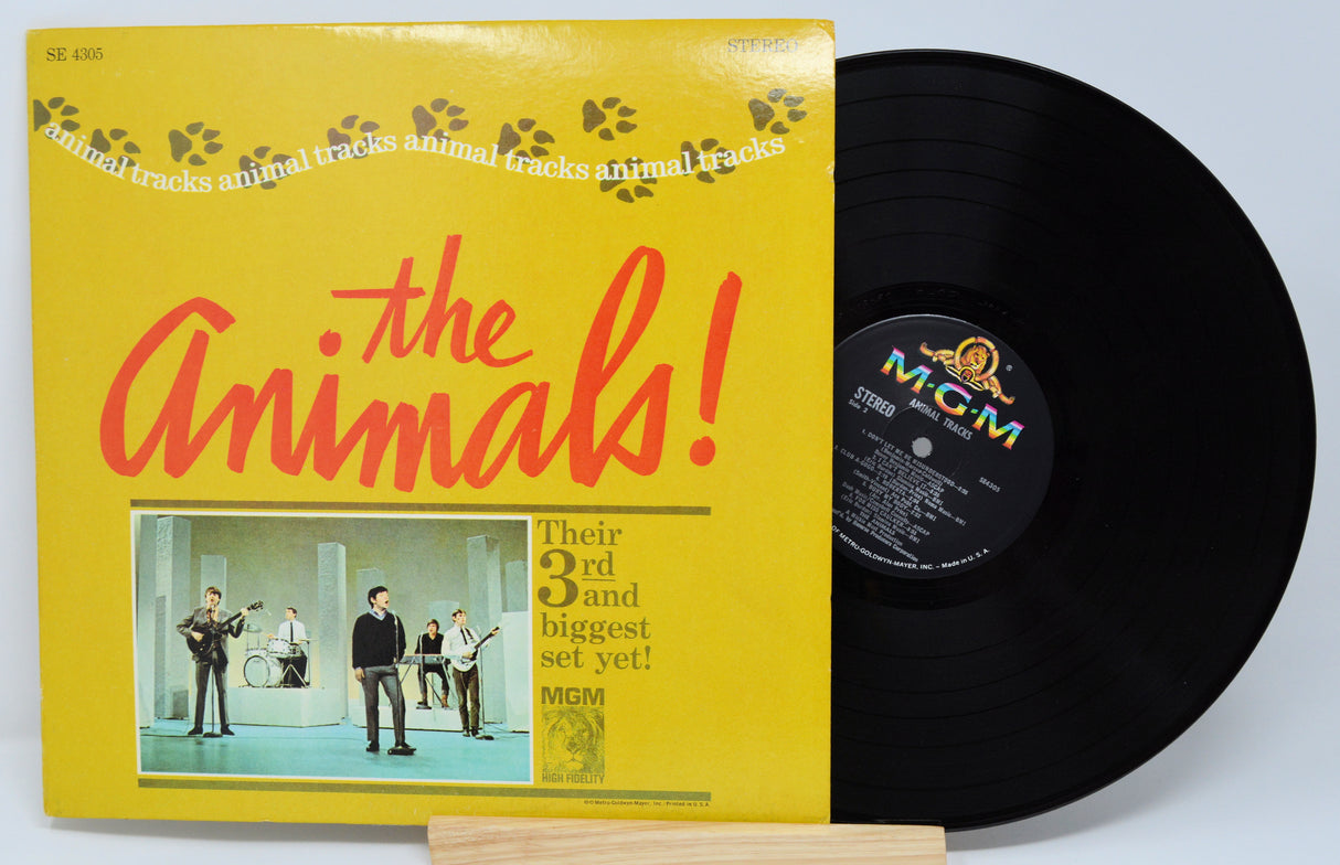 Animals - Animal Tracks