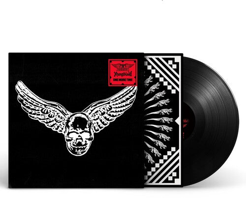 Limited edition Blink-182 One More Time vinyl record with winged skull cover art