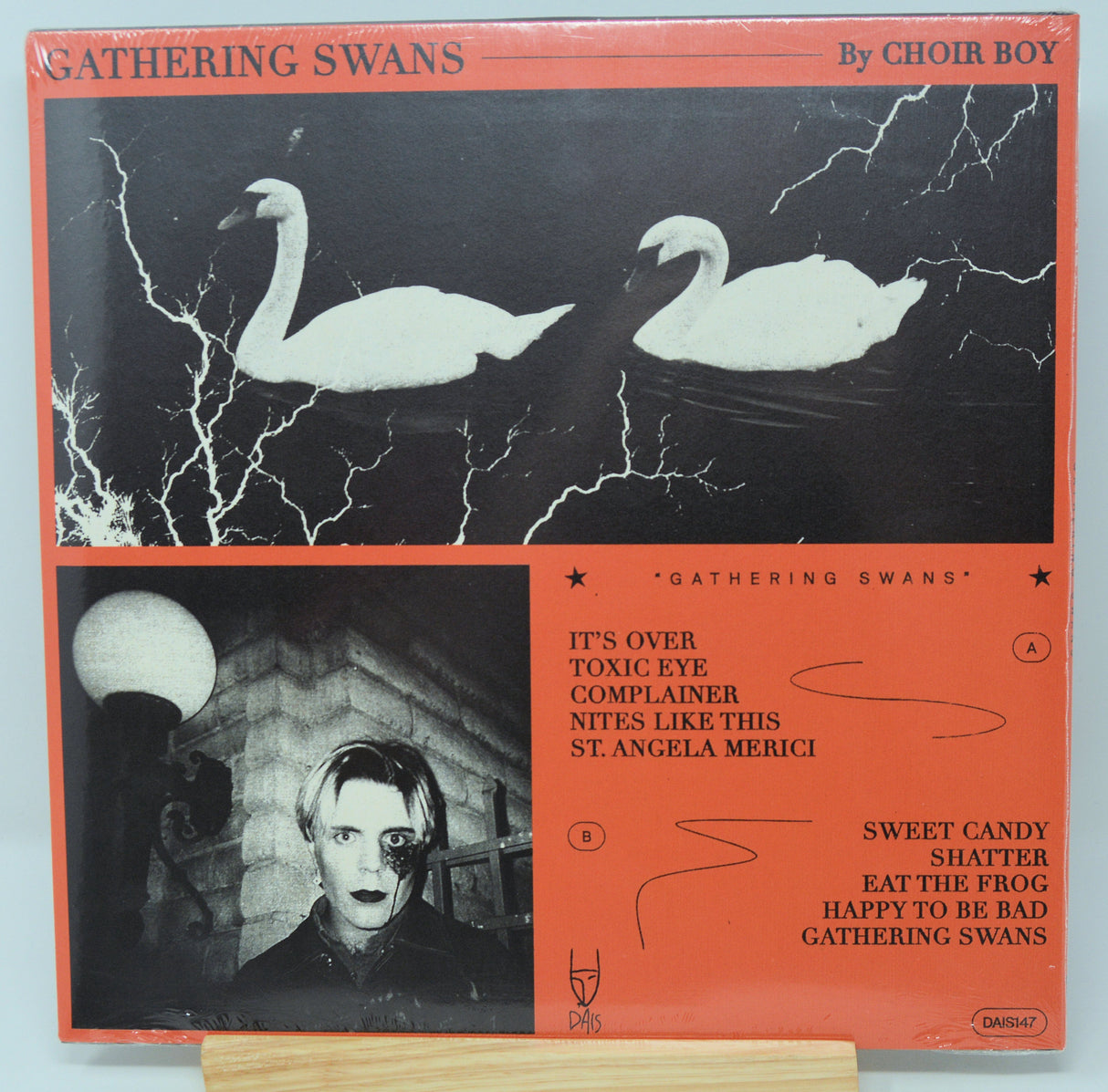 Choir Boy - Gathering Swans