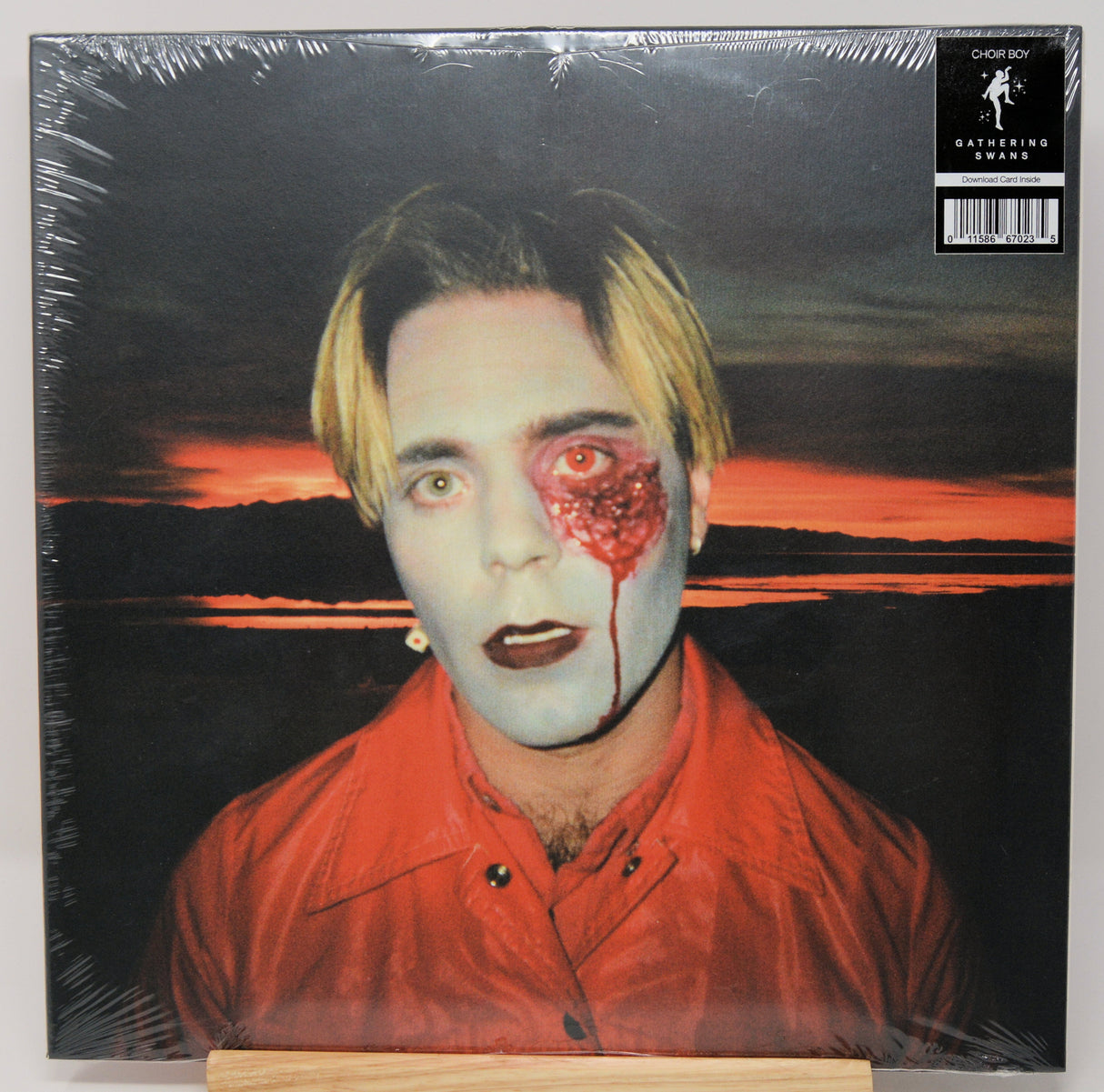 Choir Boy - Gathering Swans