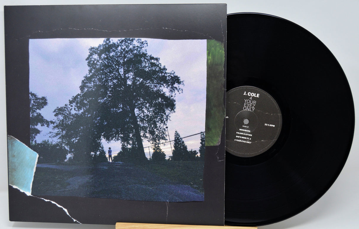 Vinyl record with a cover featuring a scenic road and tree, on a white background.