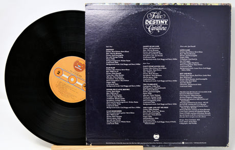 Cavaliere, Felix - Destiny