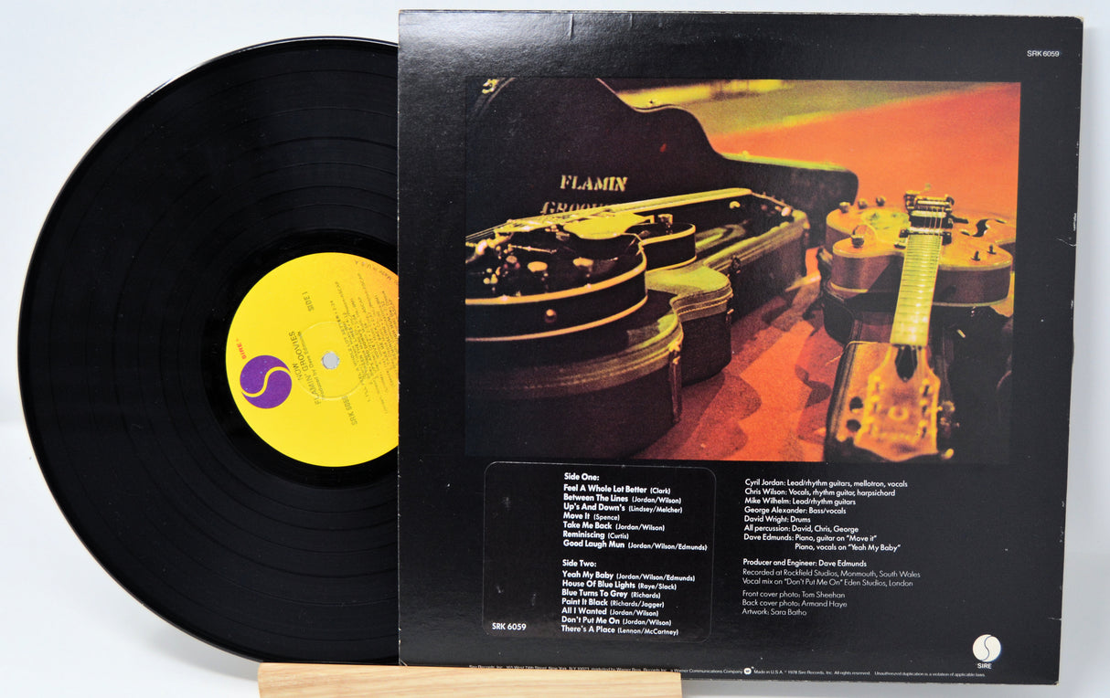 Flamin Groovies - Now