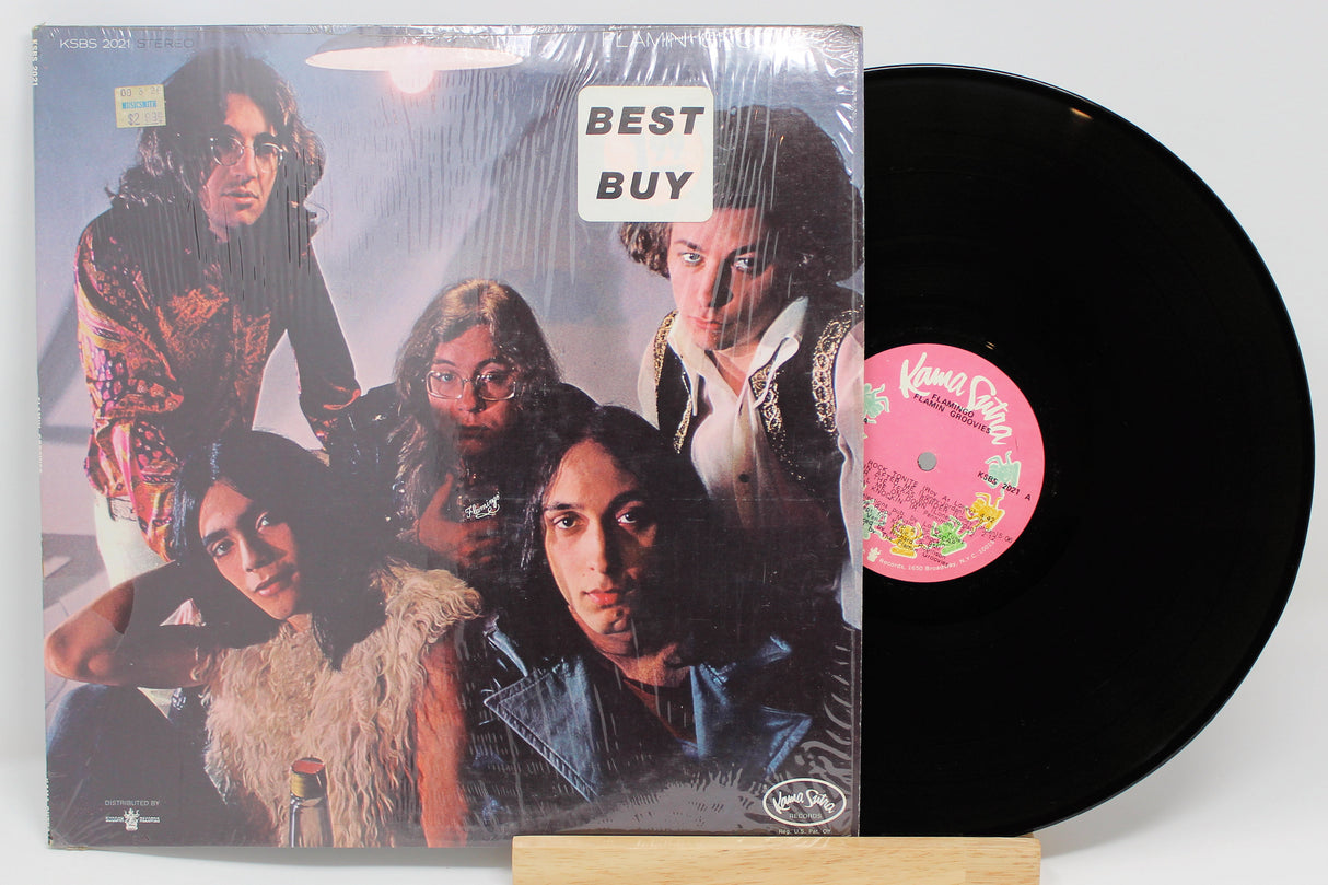 Flamin Groovies - Flamingo