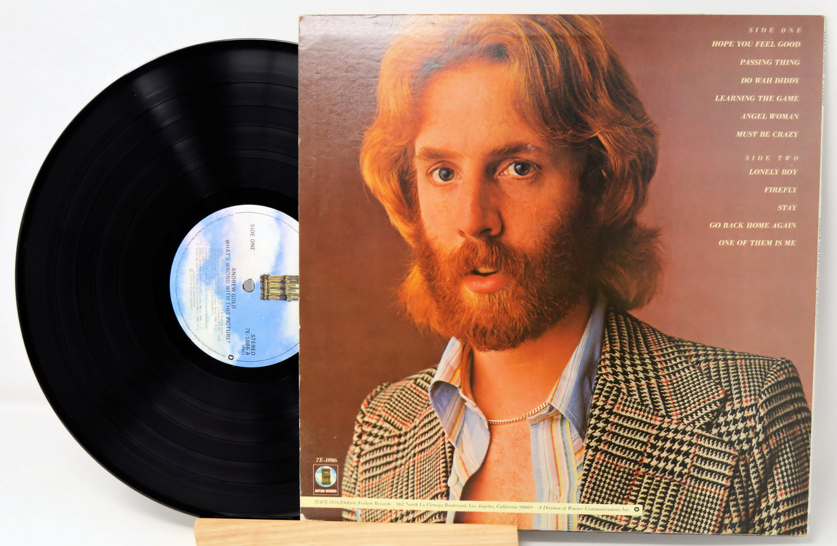 Gold, Andrew - Whats Wrong With This Picture