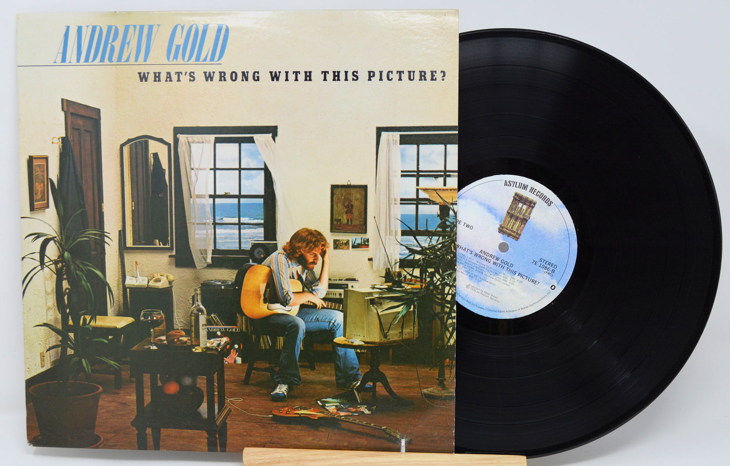 Gold, Andrew - Whats Wrong With This Picture