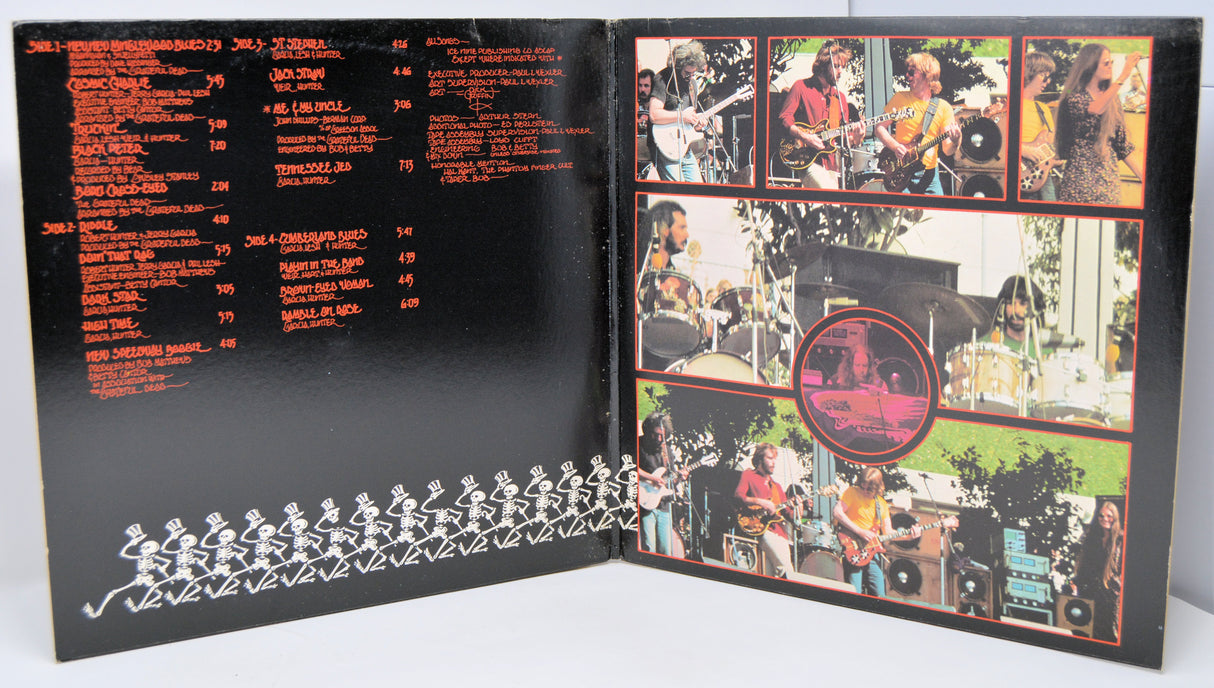 Grateful Dead - What A Long Strange Trip It's Been