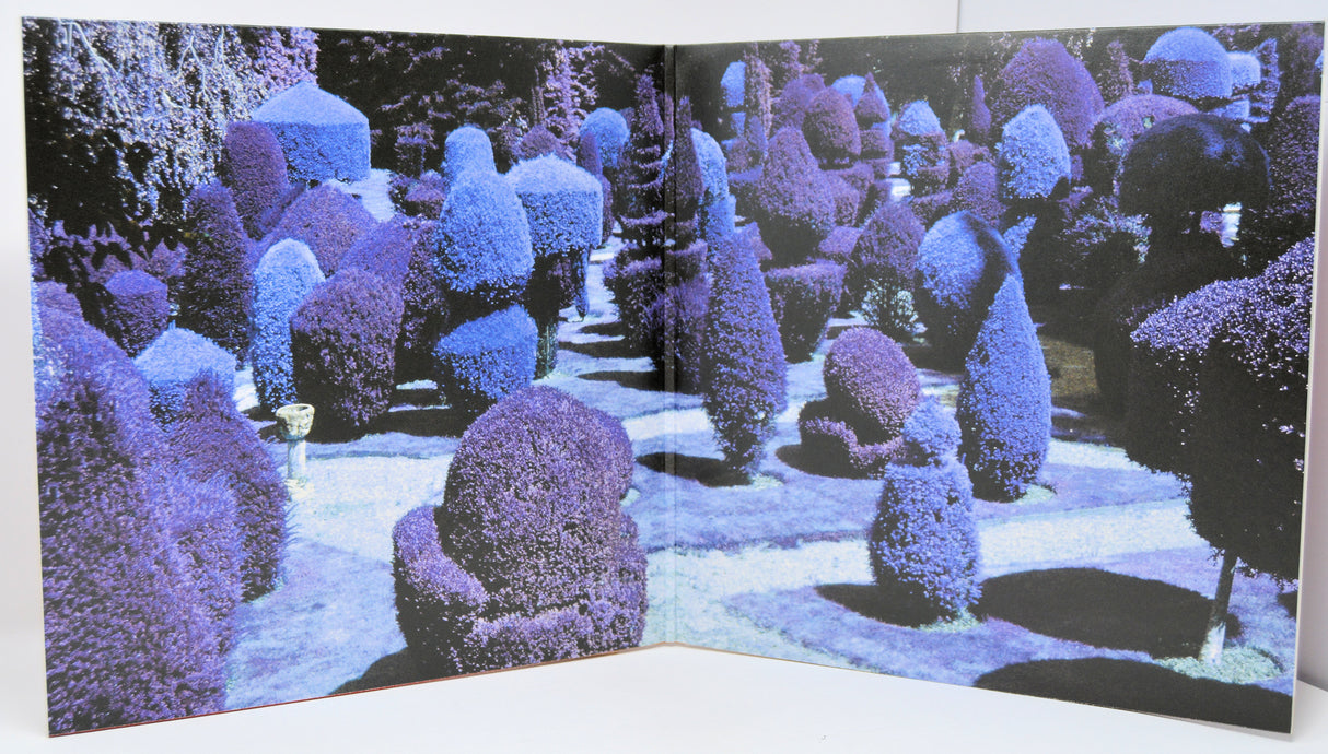 Harrison, George - Brainwashed