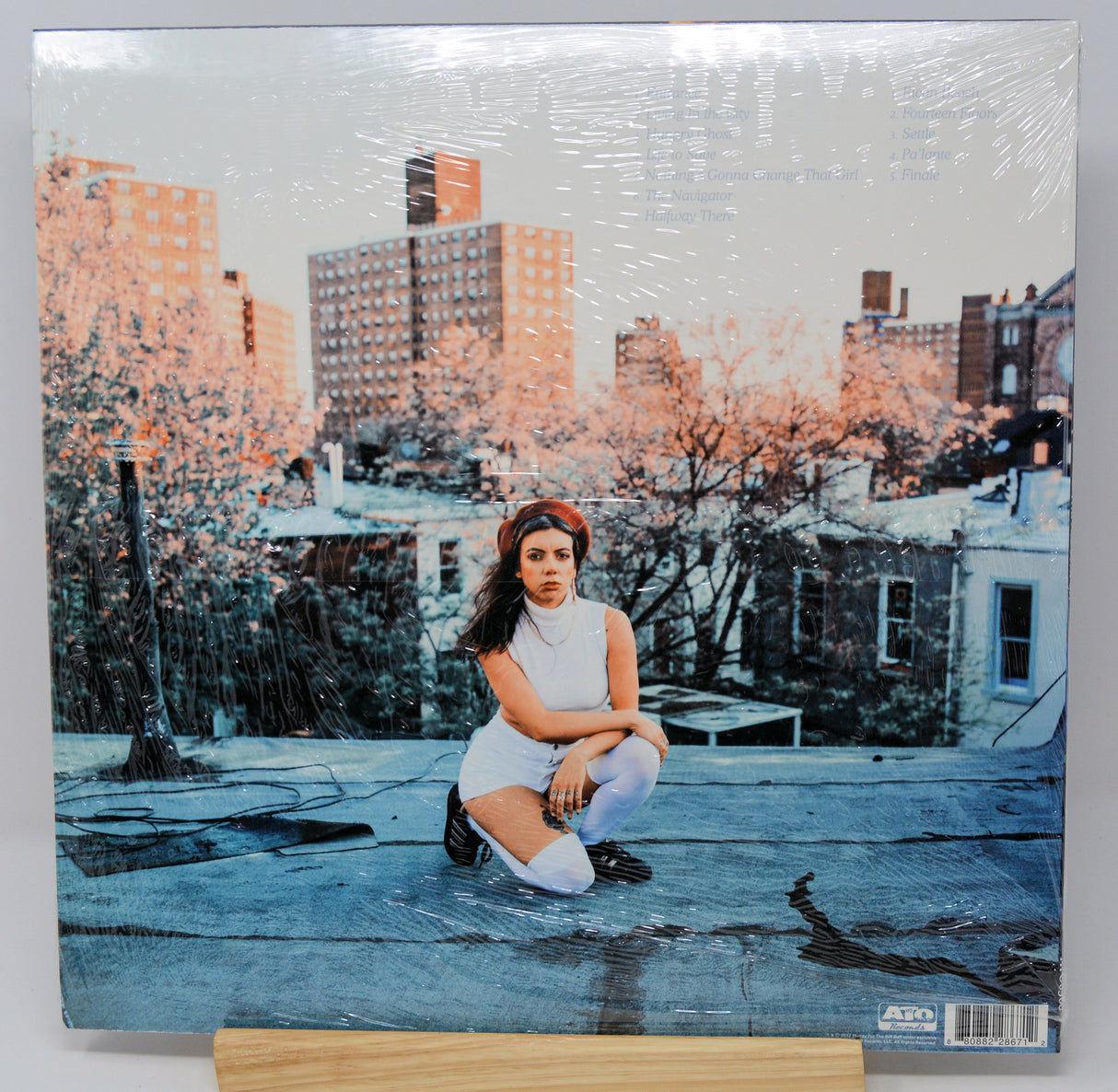 Hurray For The Riff Raff - The Navigator