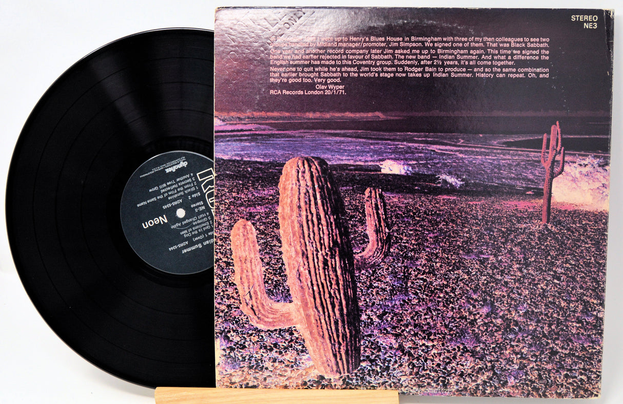 Back cover of Indian Summer vinyl with stylized cactus artwork and record partially shown