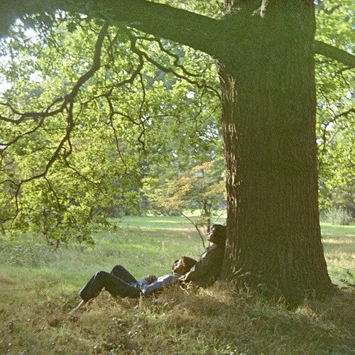 Two people lying under a large tree in a park