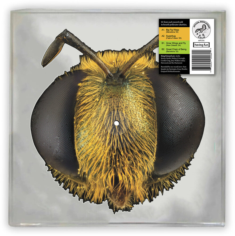 Vinyl record picture disc by King Gizzard & The Lizard Wizard with a detailed illustration of a wasp head.