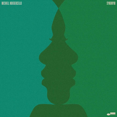 Album cover for 'Meshell Ngedegecello - Synonym' featuring a dark green abstract silhouette of a face on a solid green background.