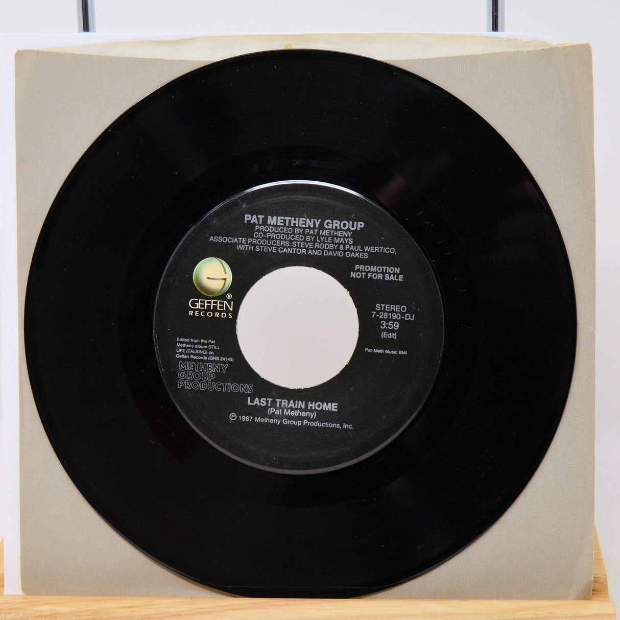 Metheny, Pat - Last Train Home