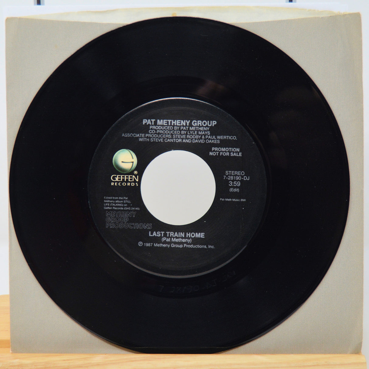 Metheny, Pat - Last Train Home