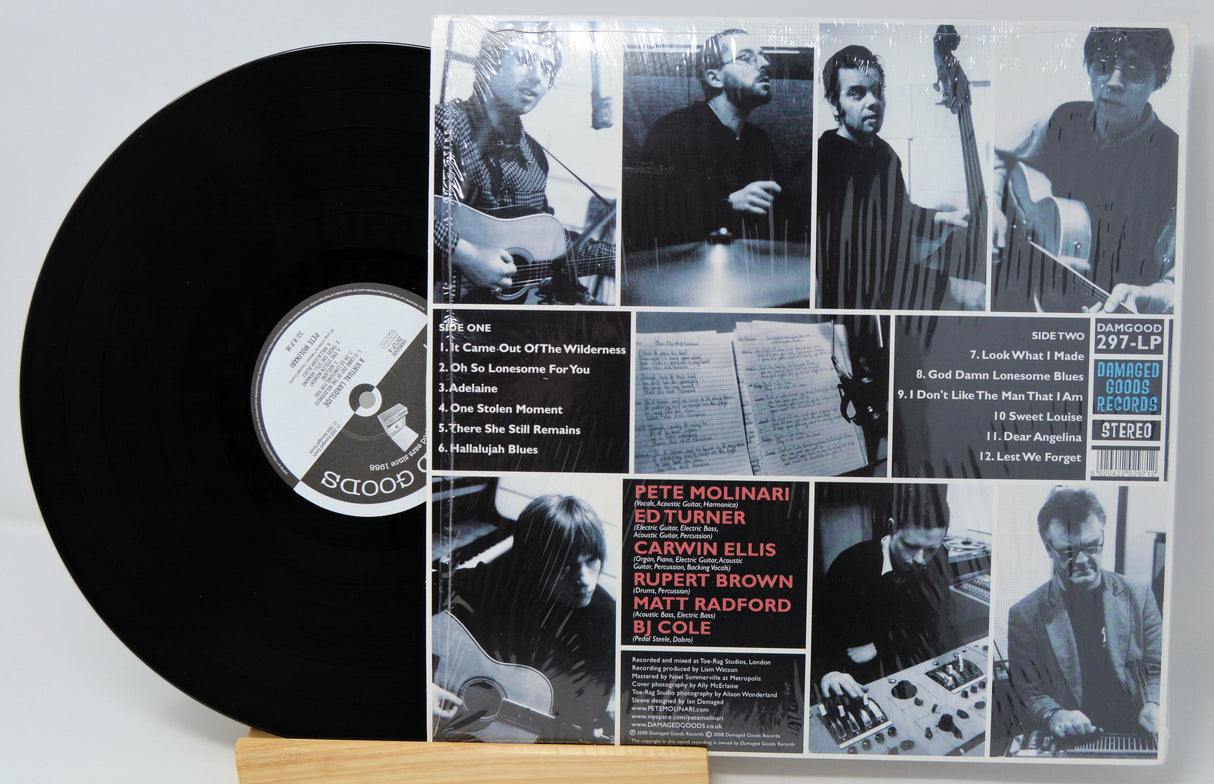 Molinari, Pete - A Virtual Landslide