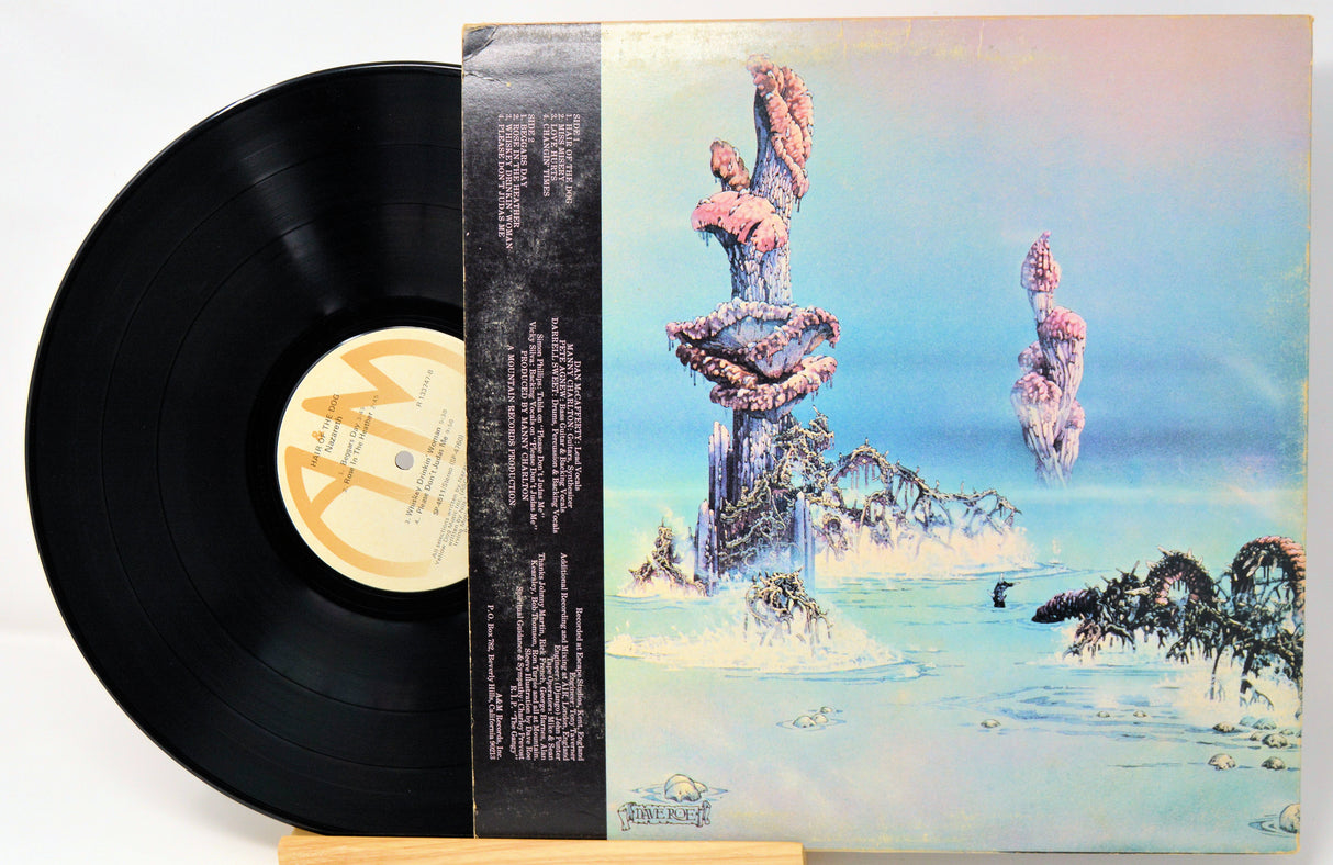 Nazareth - Hair Of The Dog