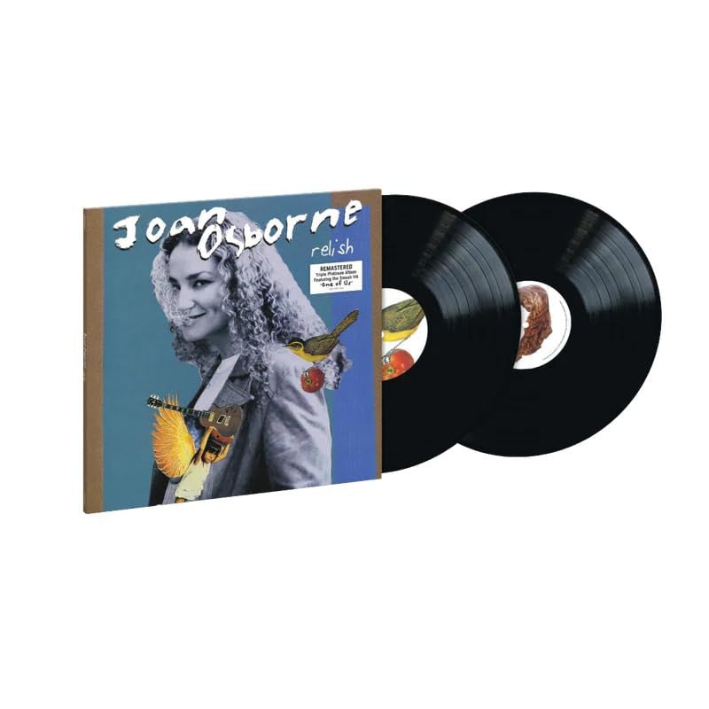 Vinyl record set with cover featuring a person and birds on a blue background