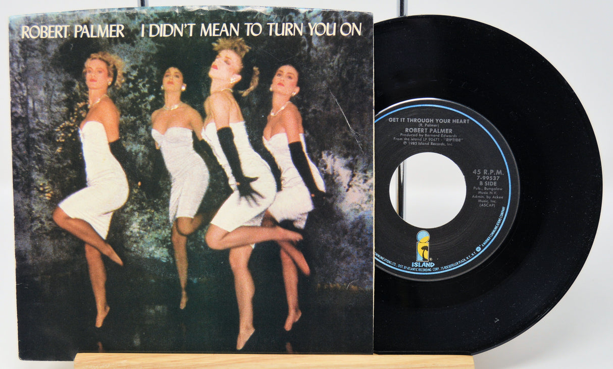 Palmer, Robert - I Didn't Mean To Turn You On