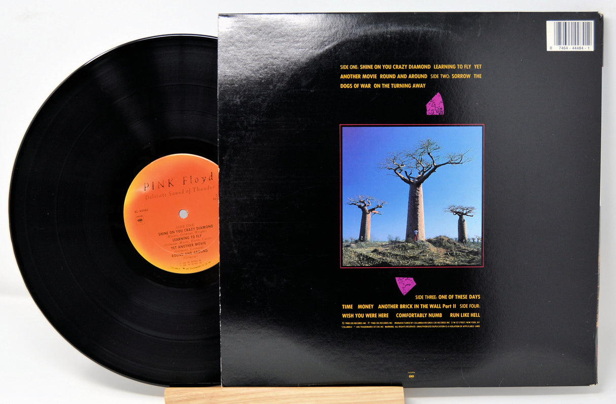 Pink Floyd - Delicate Sound Of Thunder