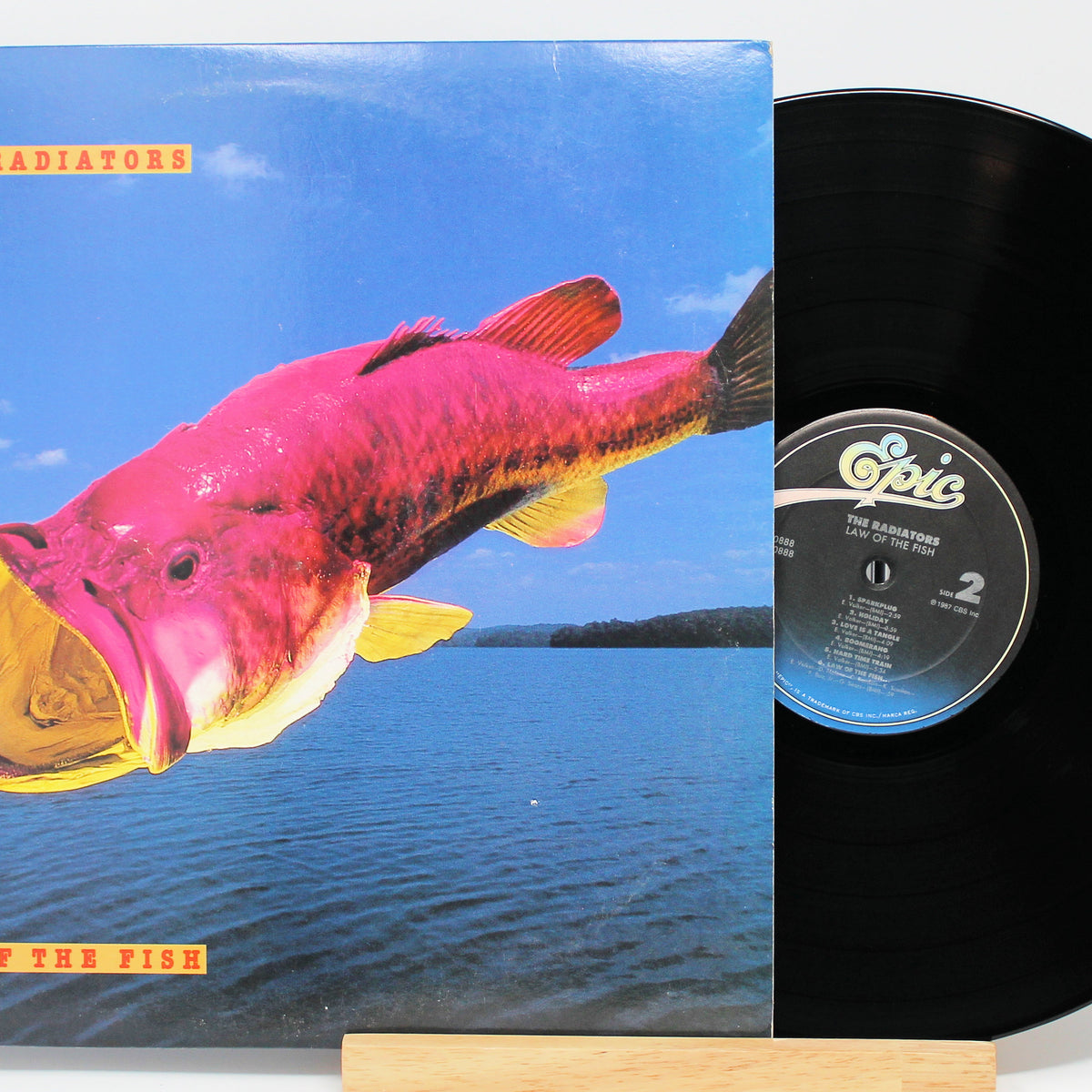 Radiators Law Of The Fish, Vinyl Record Album LP Joe's Albums