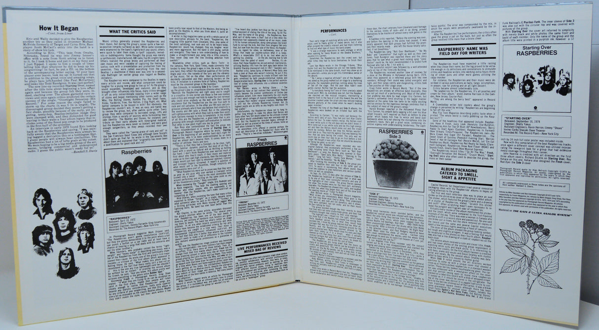 Raspberries - Raspberries Best (MFSL)