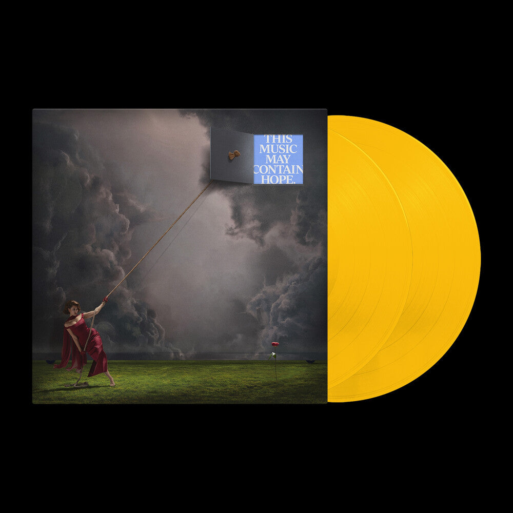 Vinyl record with a person holding a flag and dark clouds in the background