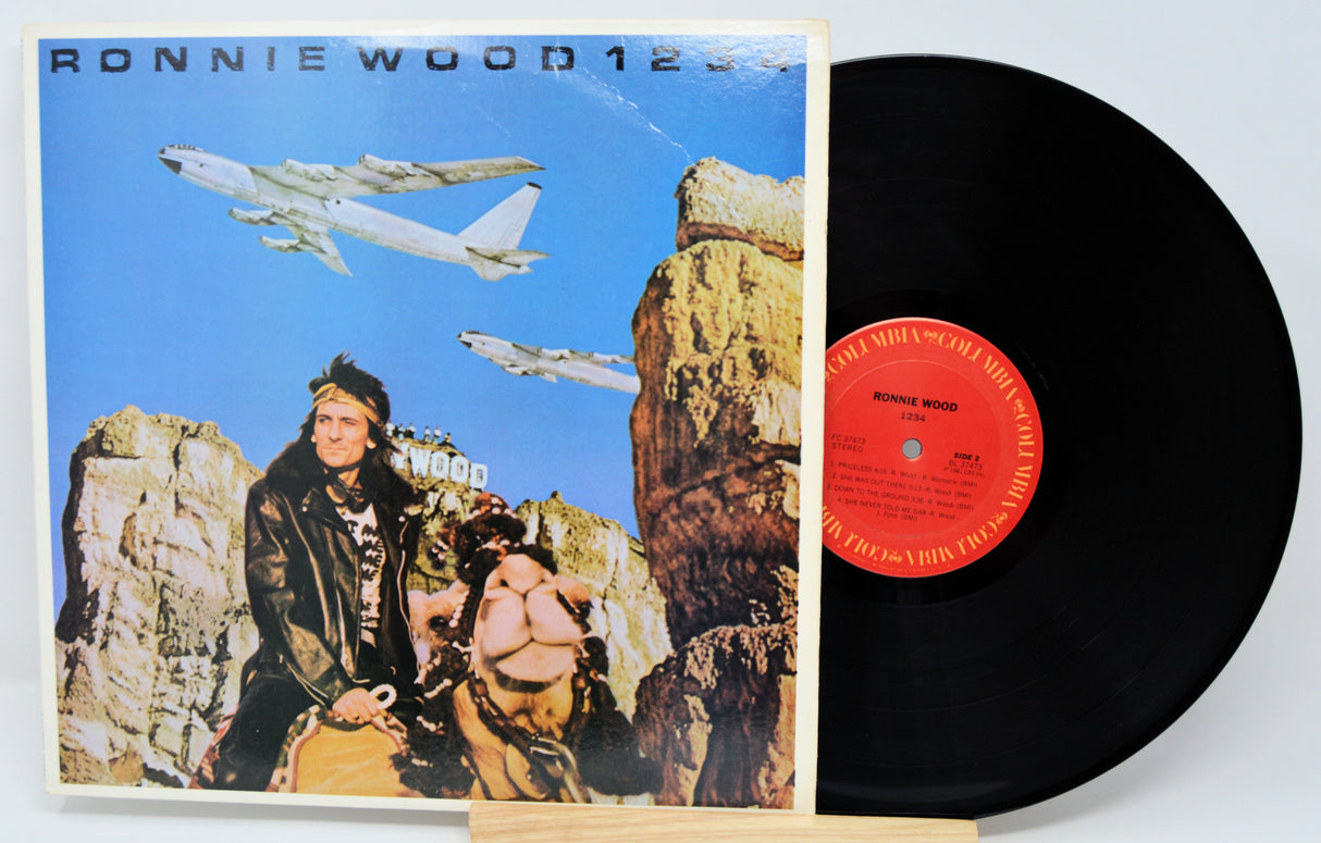 Vinyl record with cover featuring a person, airplane, and mountainous landscape.