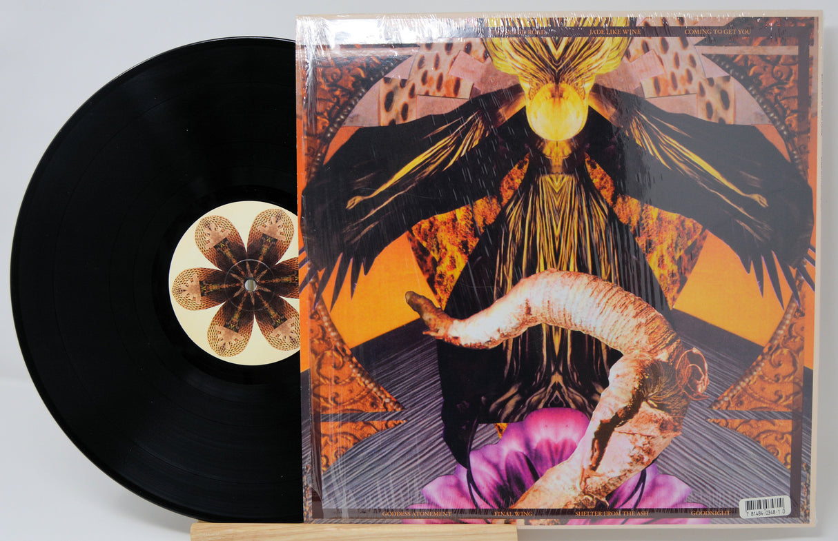 Six Organs Of Admittance - Shelter From The Ash