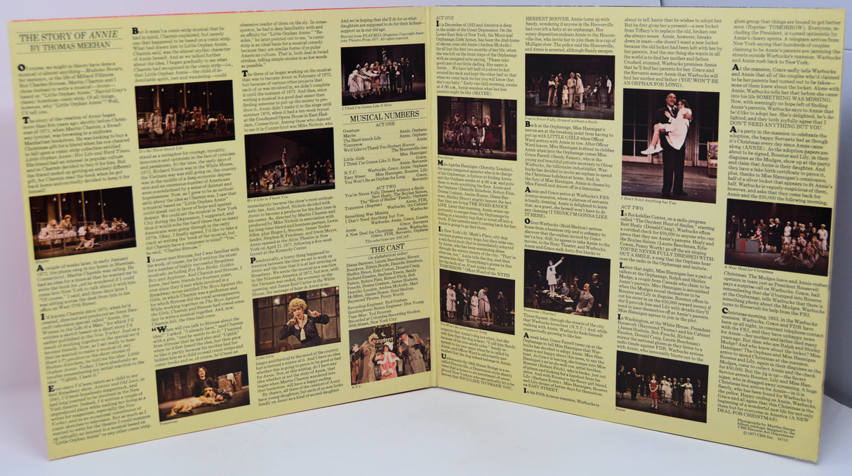 Foldout promotional material with images and text on a light green background