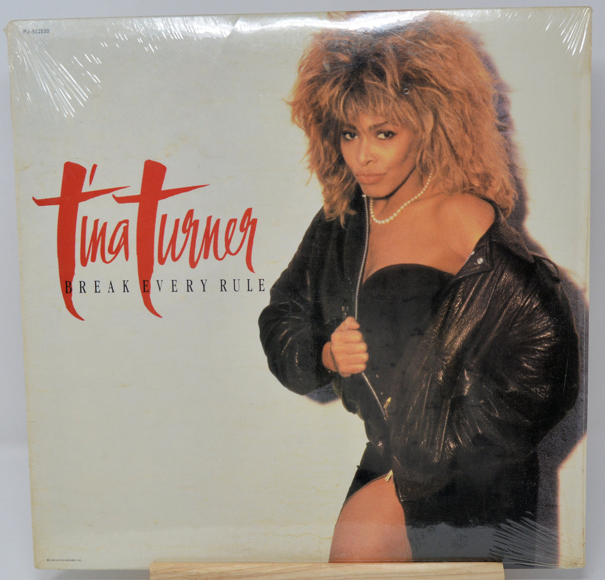 Turner, Tina - Break Every Rule