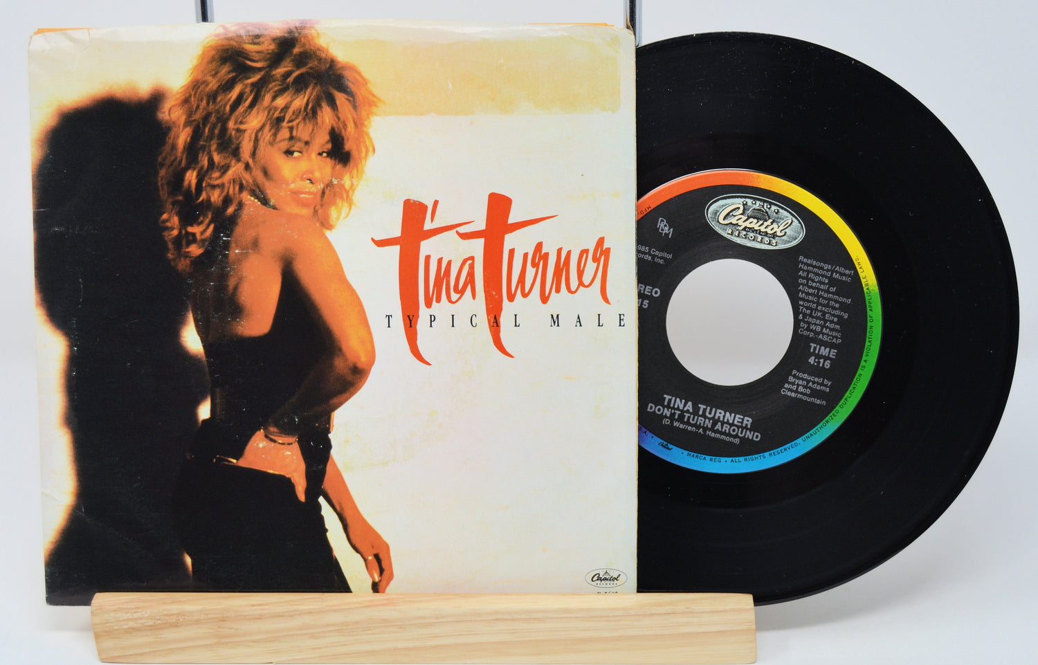 Turner, Tina - Typical Male