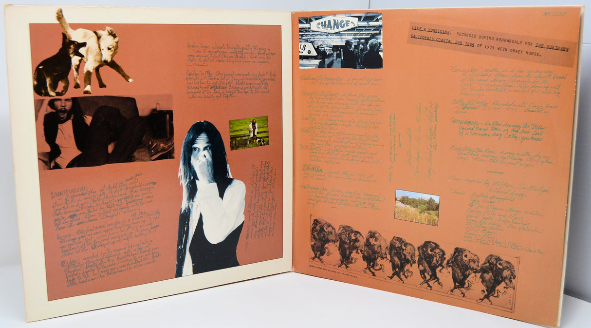 Young, Neil - Decade