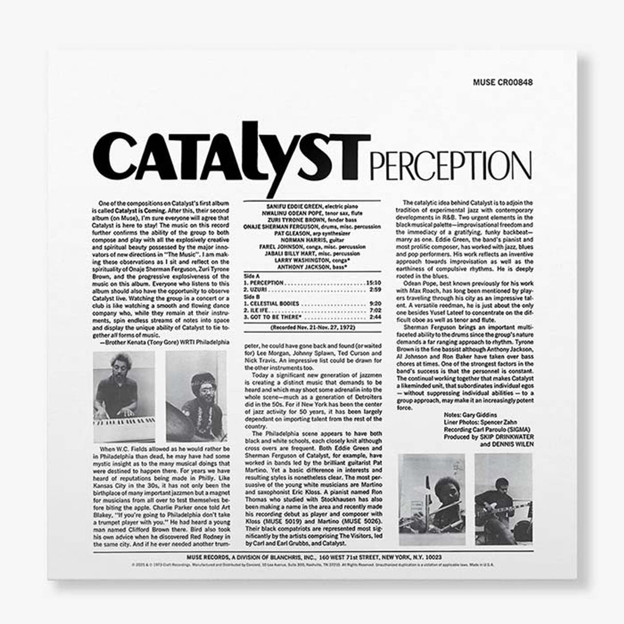 Catalyst - Perception