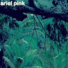 Ariel Pink - Odditties Sodomies 3