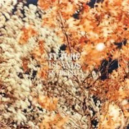 Future Islands - In The Fall