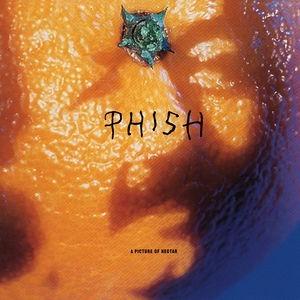 Phish - Picture Of Nectar