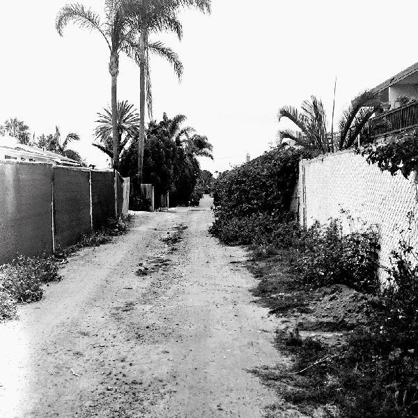 Throwing Muses - Sun Racket (Monochrome Edition)