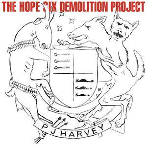Harvey, PJ - Hope Six Demolition Project