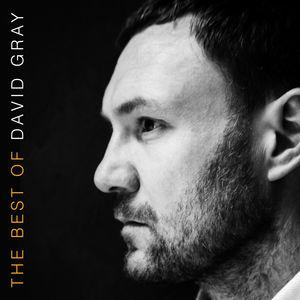 Gray, David - Best Of
