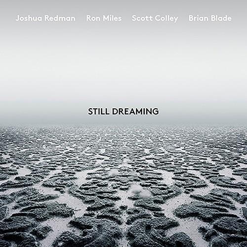 Redman, Joshua - Still Dreaming