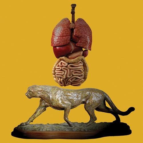 Lil Ugly Mane - Three Sided Tape