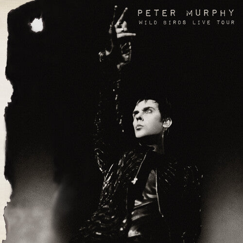 Murphy, Peter - Wild Birds Live Tour