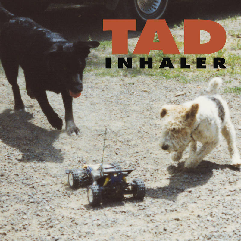 TAD - Inhaler