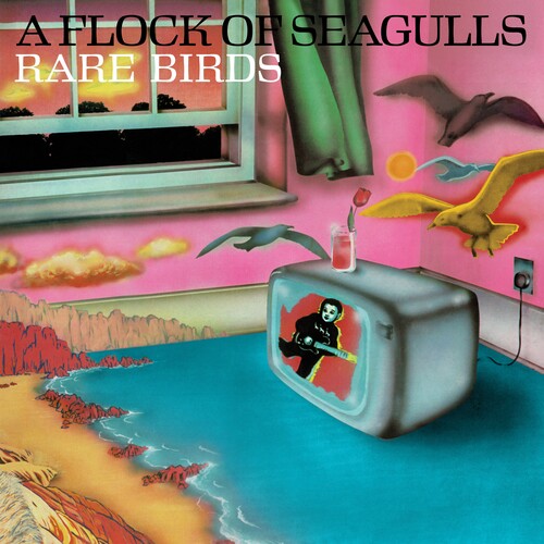 Flock Of Seagulls - Rare Birds - B-Sides, Etc