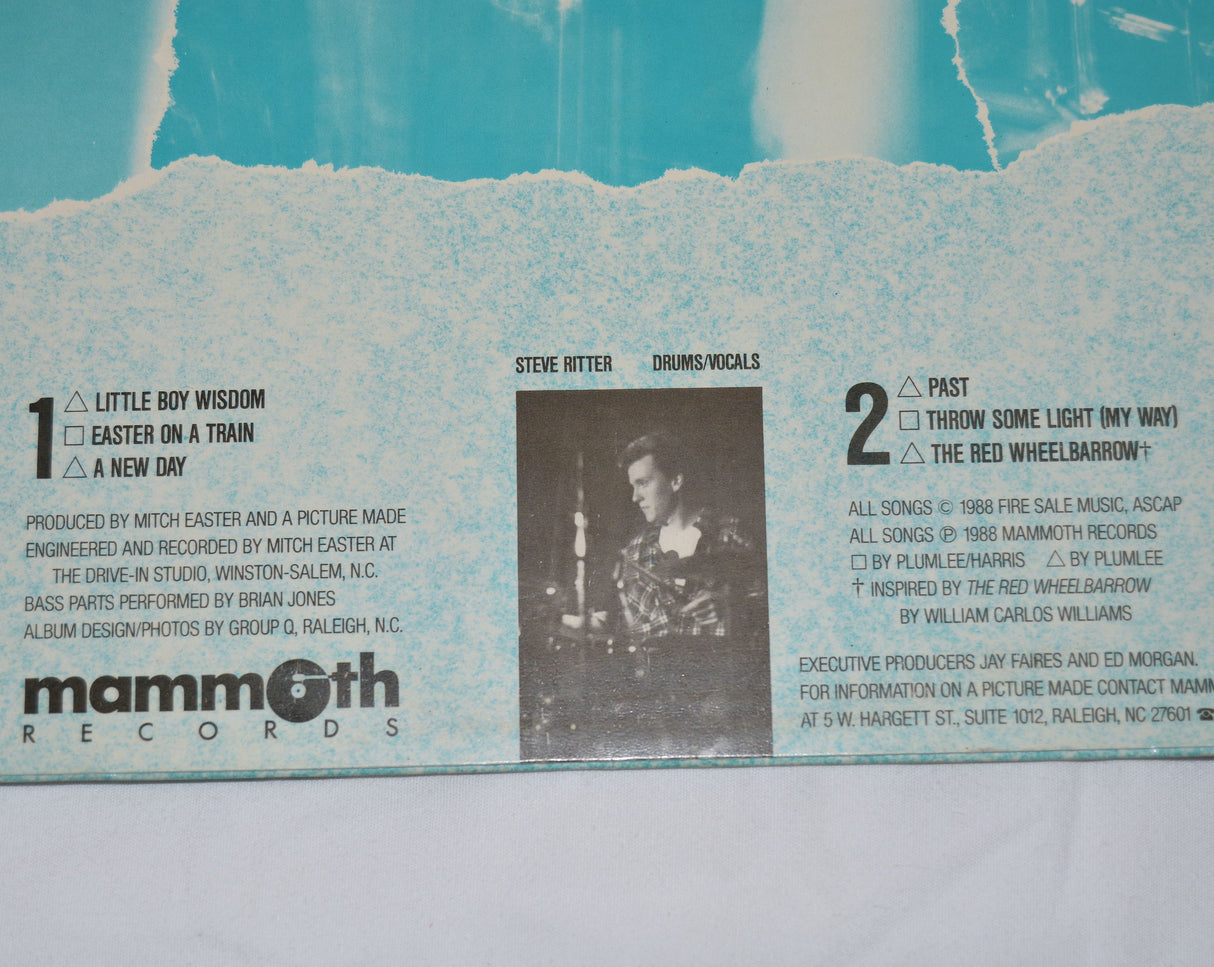 A Picture Made - Past