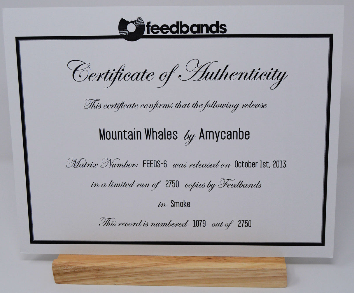 Amycanbe – Mountain Whales